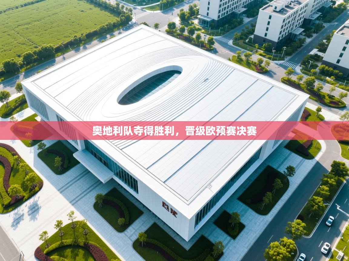 奥地利队夺得胜利，晋级欧预赛决赛  第1张