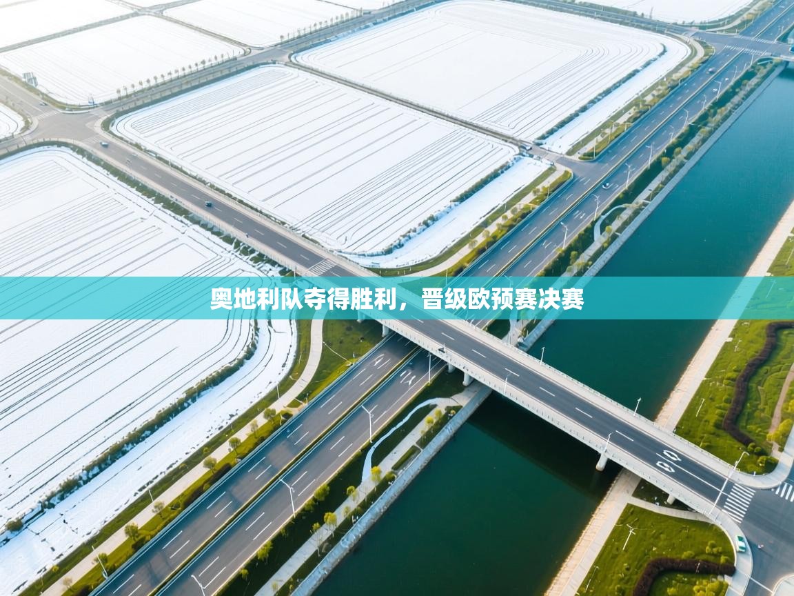 奥地利队夺得胜利，晋级欧预赛决赛  第2张