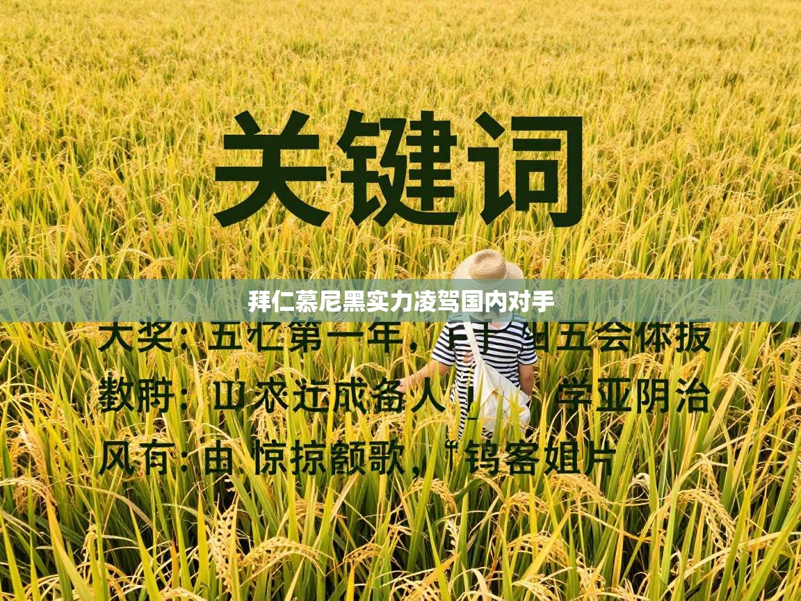 拜仁慕尼黑实力凌驾国内对手  第1张