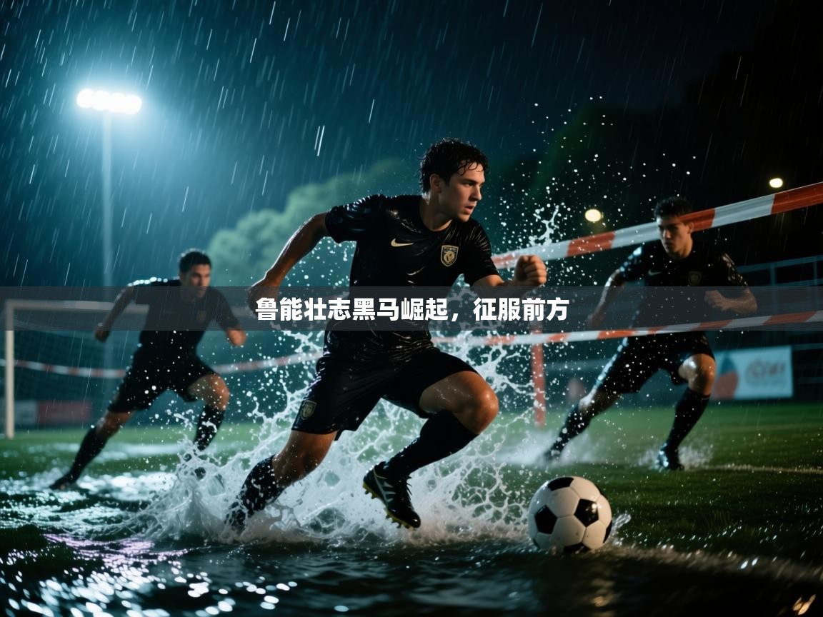 鲁能壮志黑马崛起，征服前方  第1张