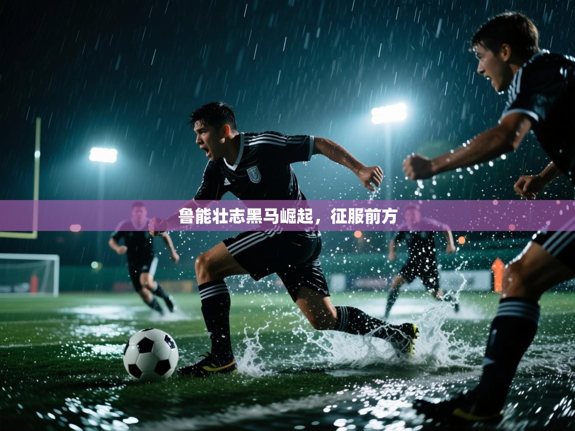 鲁能壮志黑马崛起，征服前方  第2张